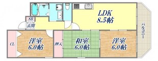 シャトレ鳴尾の物件間取画像